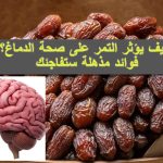 كيف يؤثر التمر على الدماغ
