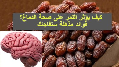 كيف يؤثر التمر على الدماغ