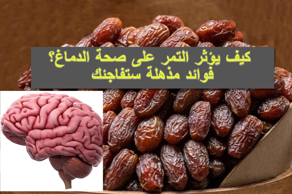 كيف يؤثر التمر على الدماغ