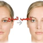 العصب السابع ووظائفه: دليلك الشامل لأسبابه وأعراضه وطرق الوقاية والعلاج