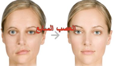 العصب السابع ووظائفه: دليلك الشامل لأسبابه وأعراضه وطرق الوقاية والعلاج