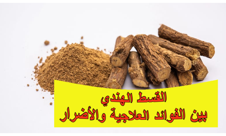 القسط الهندي: بين الفوائد العلاجية والأضرار وطرق الاستعمال