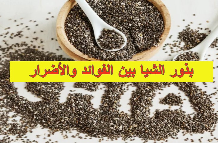 بذور الشيا
