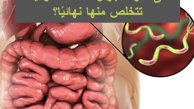 جرثومة المعدة