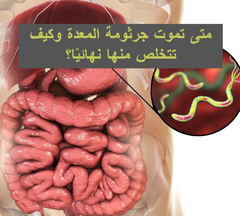 جرثومة المعدة