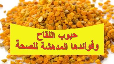 حبوب اللقاح وفوائدها المدهشة للصحة
