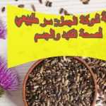 عشبة شوكة الجمل: سر طبيعي لصحة الكبد والجسم