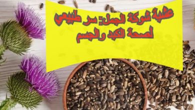 عشبة شوكة الجمل: سر طبيعي لصحة الكبد والجسم