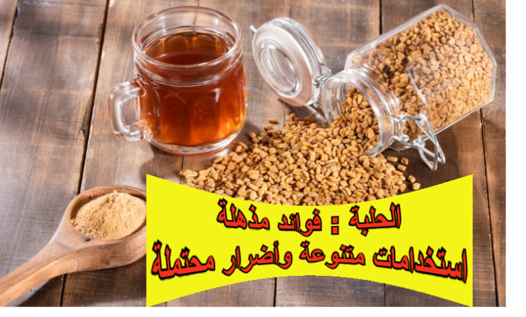 الحلبة: فوائد مذهلة، استخدامات متنوعة وأضرار محتملة