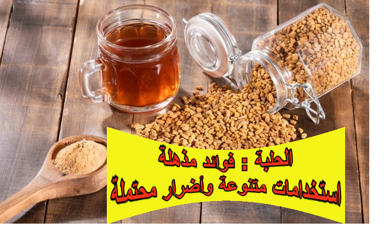 الحلبة: فوائد مذهلة، استخدامات متنوعة وأضرار محتملة