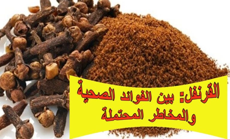 القرنفل: بهار عطري يجمع بين الفوائد الصحية والمخاطر المحتملة
