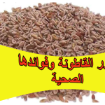 بذور القاطونة وفوائدها الصحية