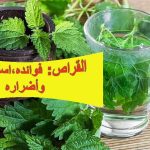 القراص: فوائده، استخداماته، وأضراره
