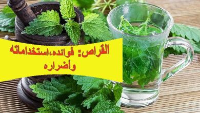 القراص: فوائده، استخداماته، وأضراره