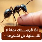 Naml