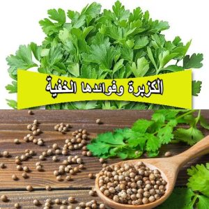 الكزبرة وفوائدها الخفية: من نكهة لذيذة إلى علاج طبيعي شامل